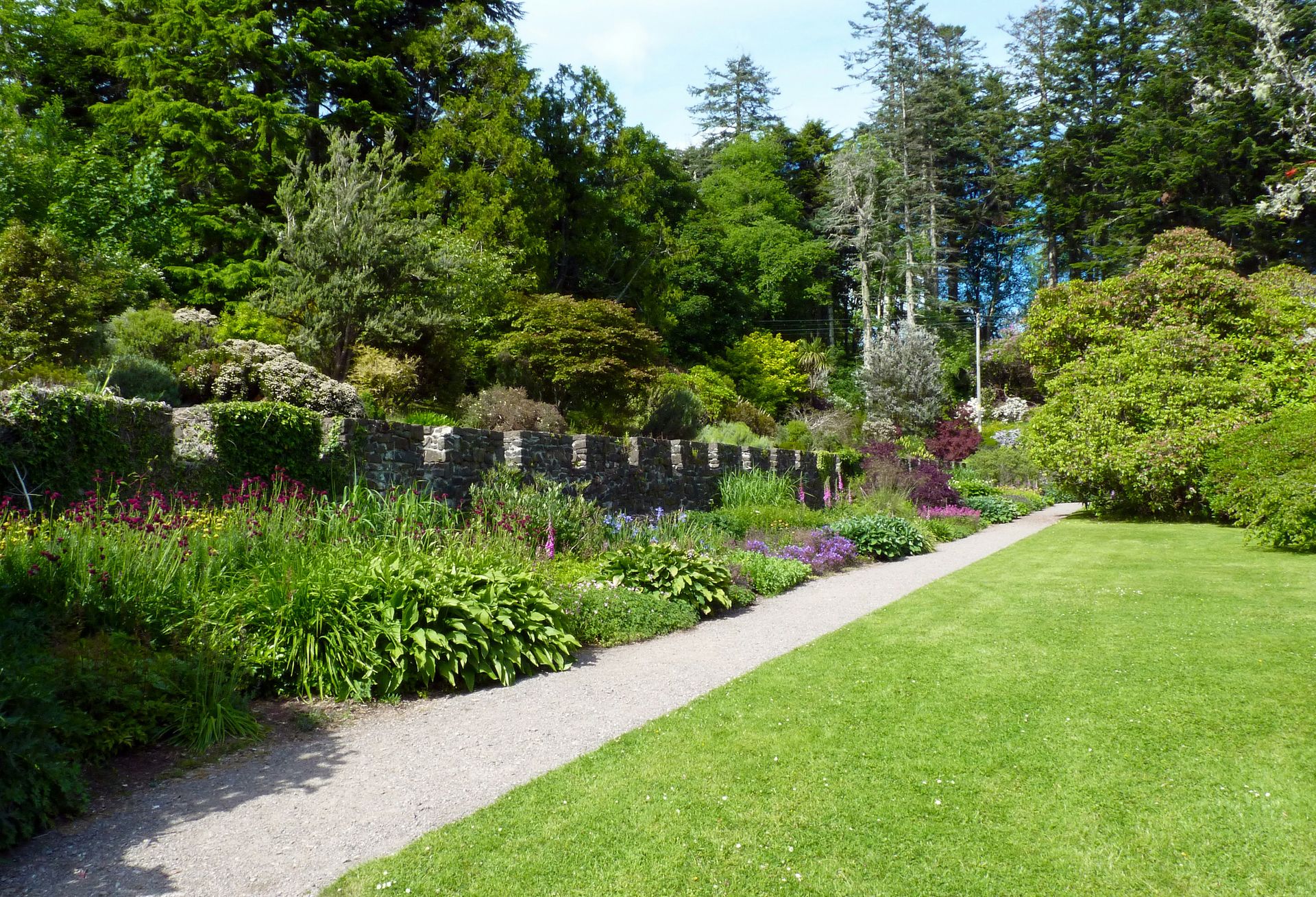 a path through a garden